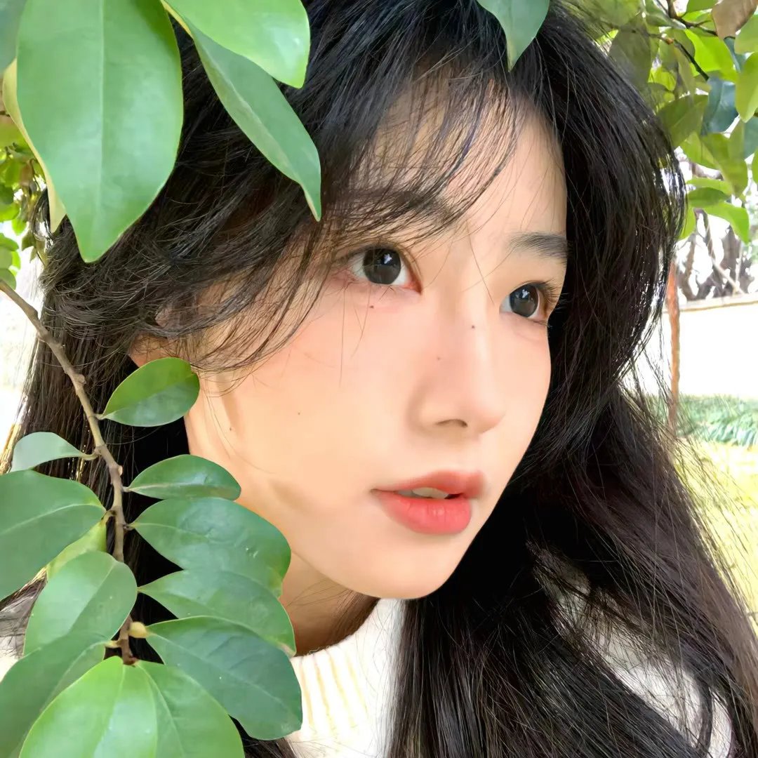 局中人第三季