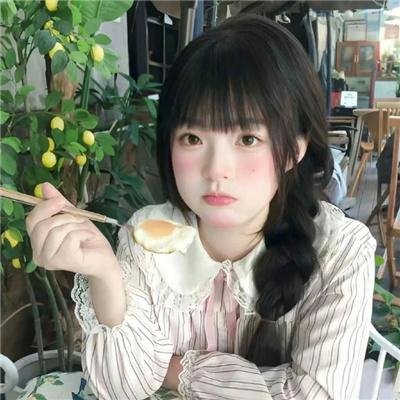 观鸟大年